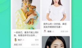 麻豆233,揭秘网络红人的魅力与影响力